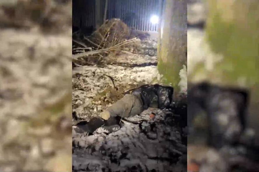 Труп беженца нашли на белорусско-польской границе