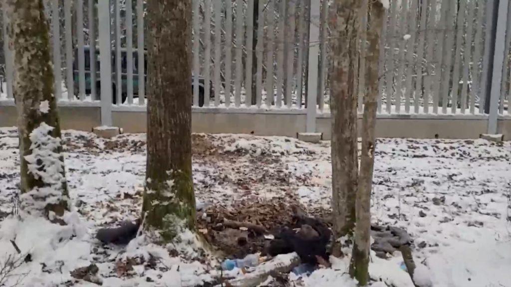 Тело мужчины африканской внешности обнаружено на границе с Польшей