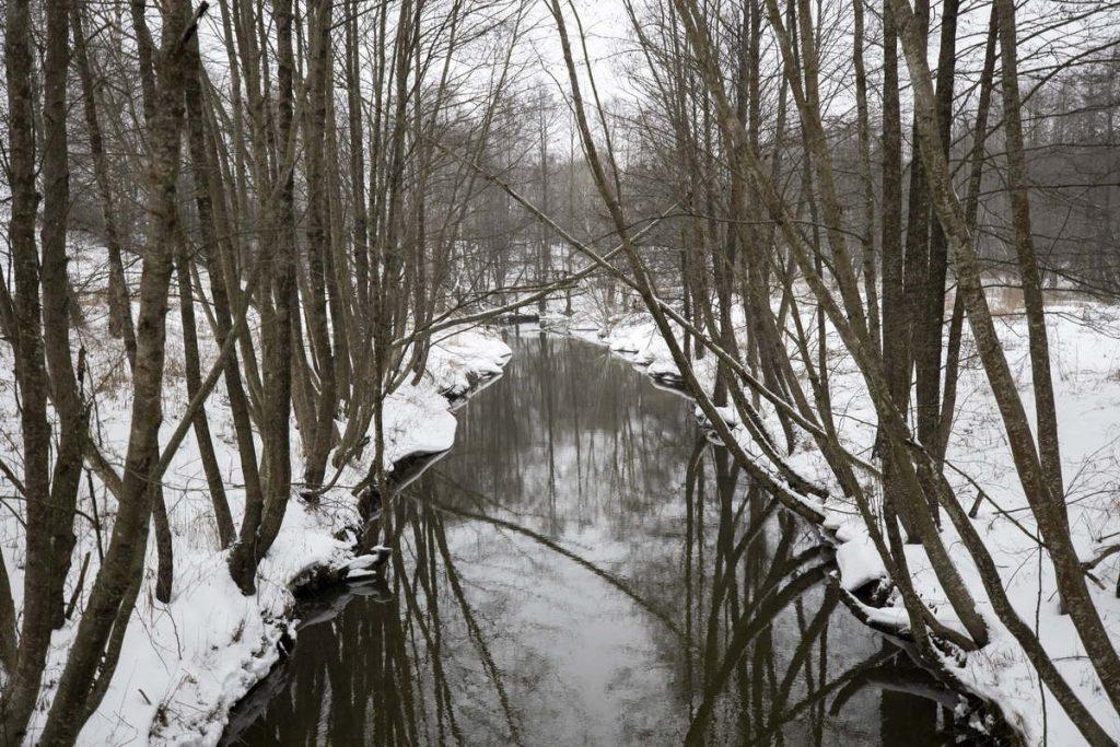 ФОТО ДНЯ: зеркальная дорога
