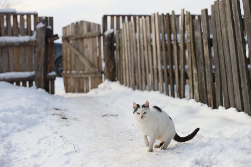 ФОТО ДНЯ: в моменте