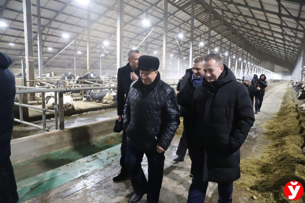 Турчин Питер