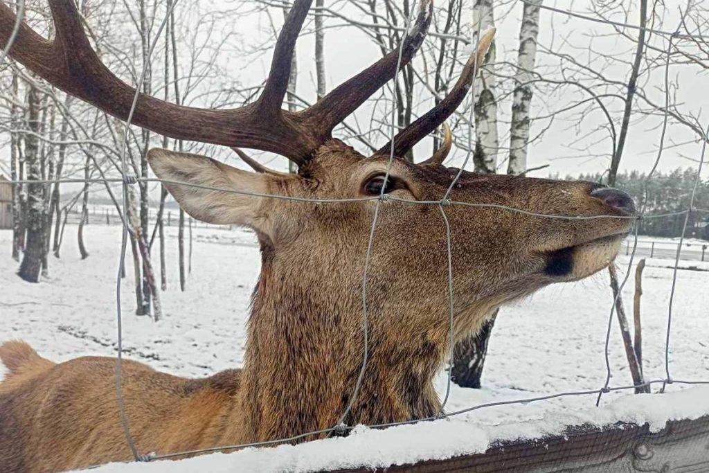 Национальный парк «Припятский»