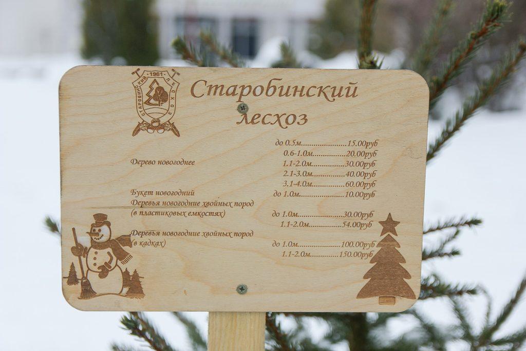 Елки Солигорск
