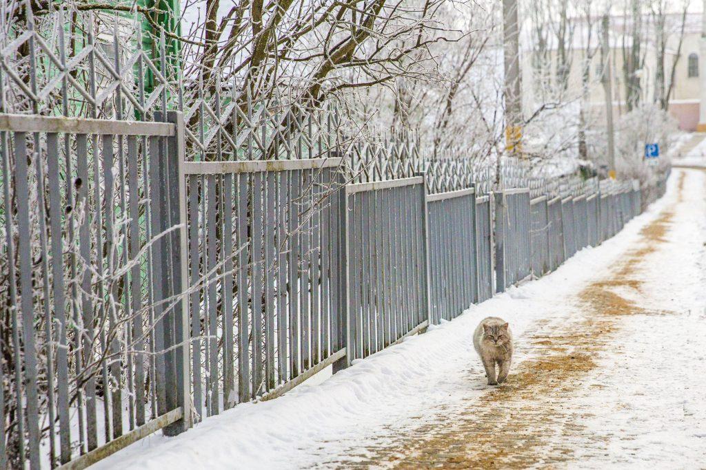 Туман и гололедица — в МЧС предупредили о безопасности 26 декабря