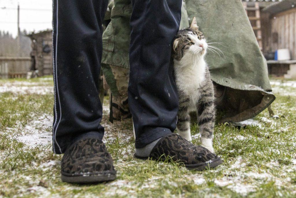 ФОТО ДНЯ: верные друзья