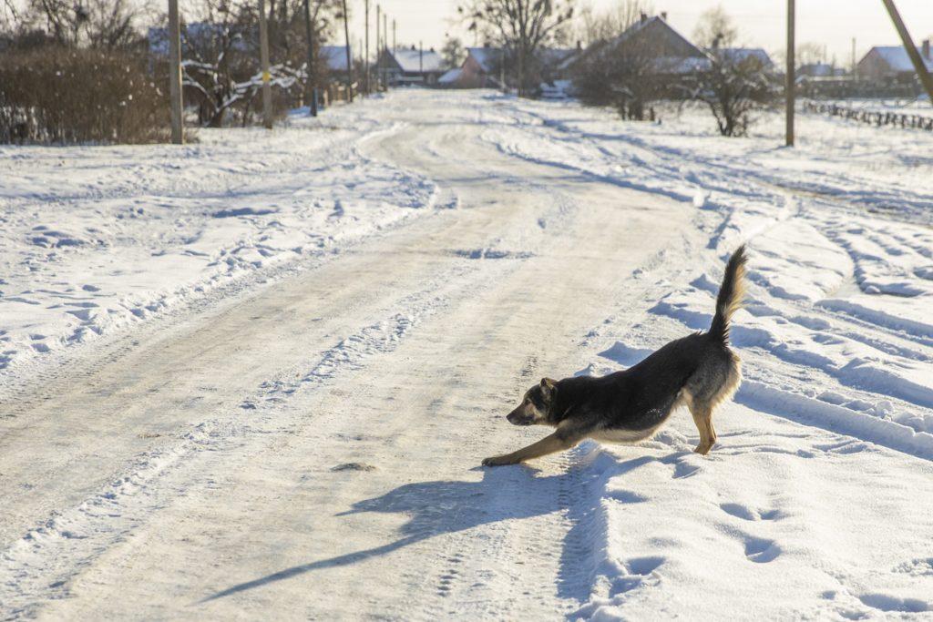 ФОТО ДНЯ: зарядка