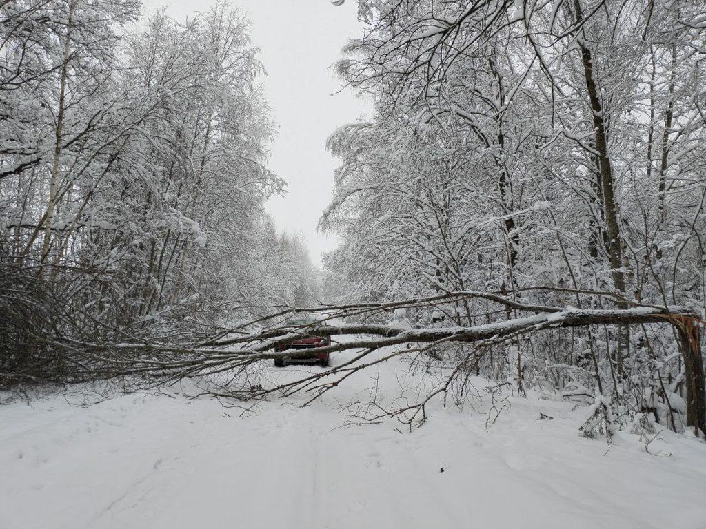 погода