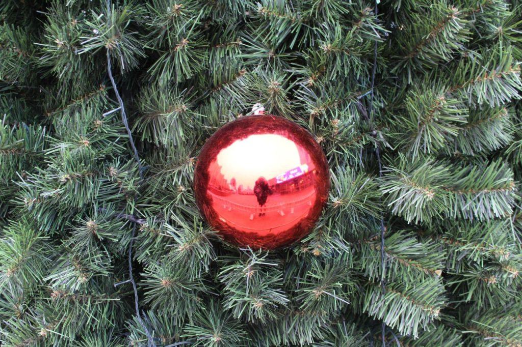 Жодино елка