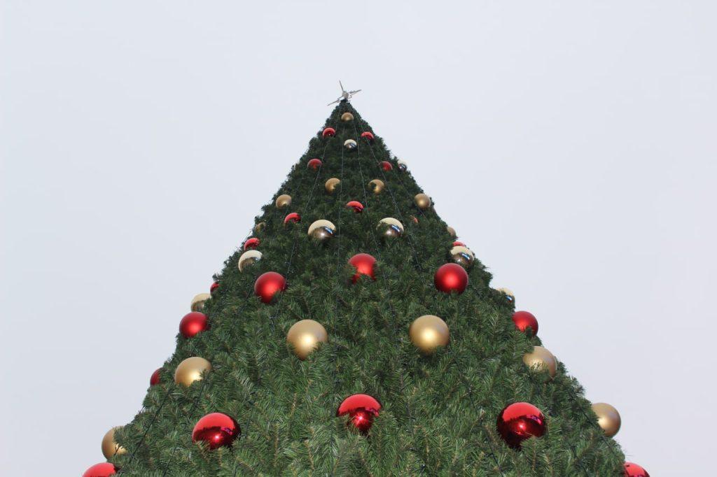 Жодино елка