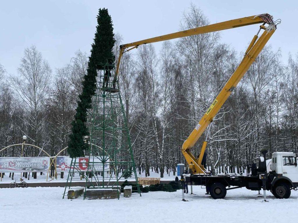 Жодино елка