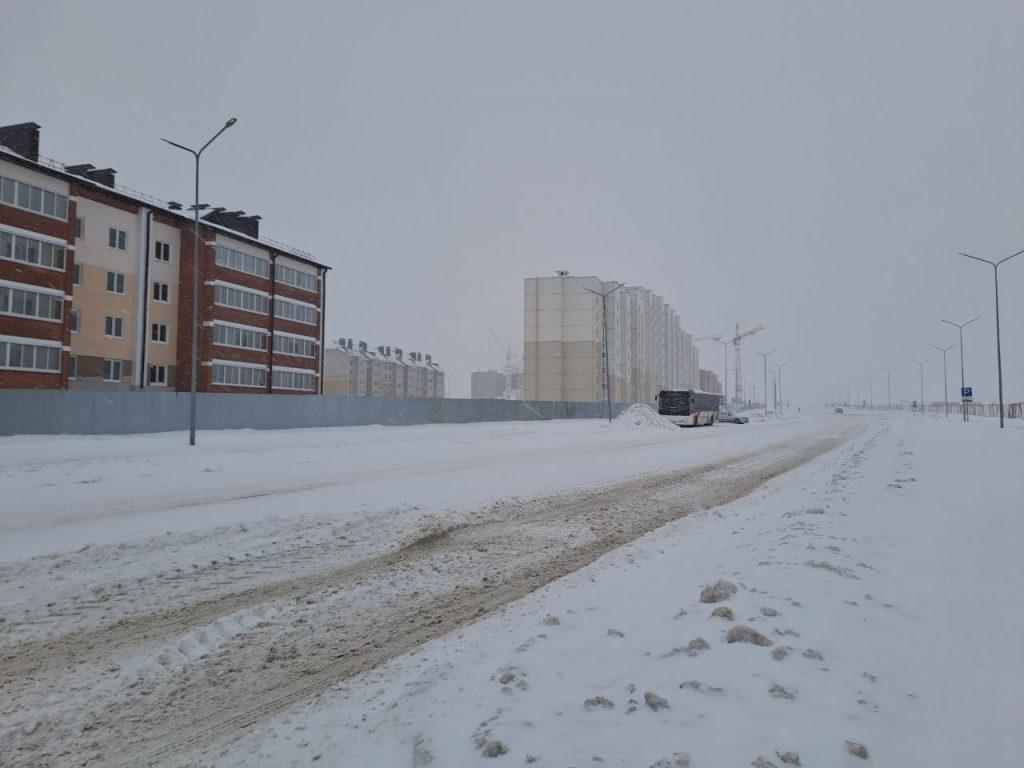 Смолевичи снегопад