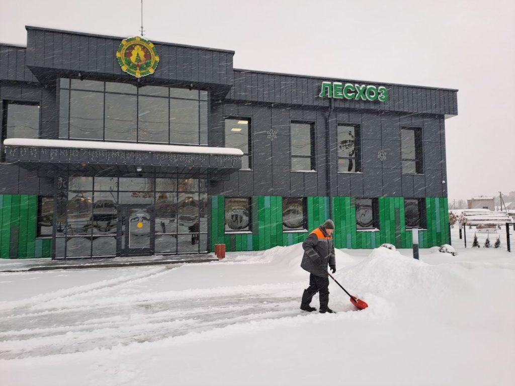 Смолевичи снегопад