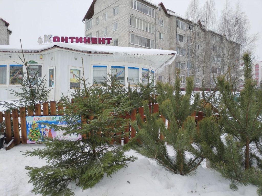 Елки Логойск