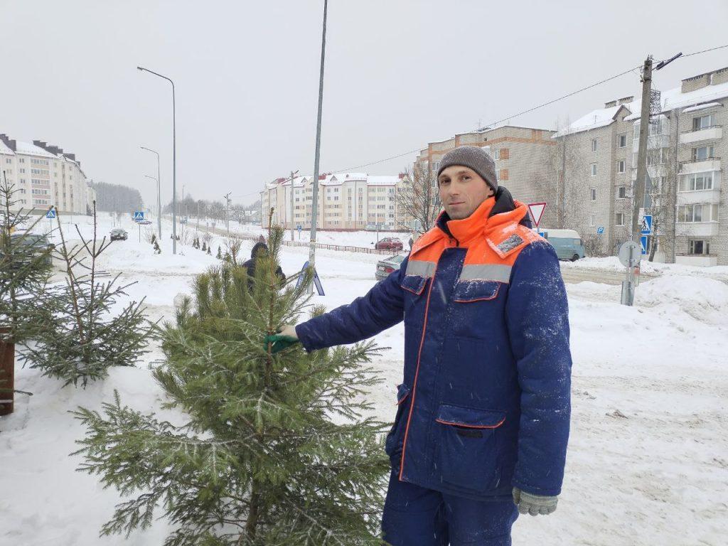 Елки Логойск