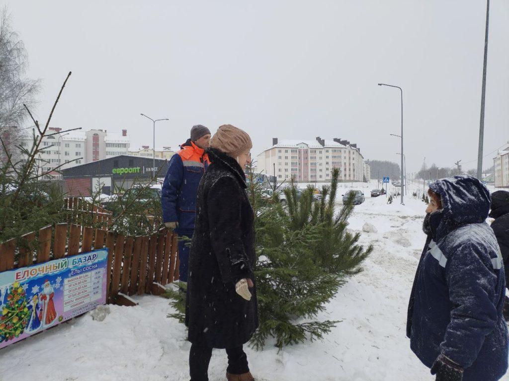Елки Логойск