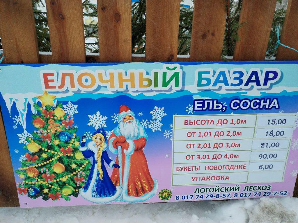 Елки Логойск
