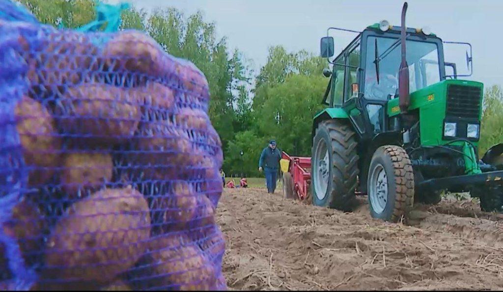 Стали известны победители конкурса #бульбапервого