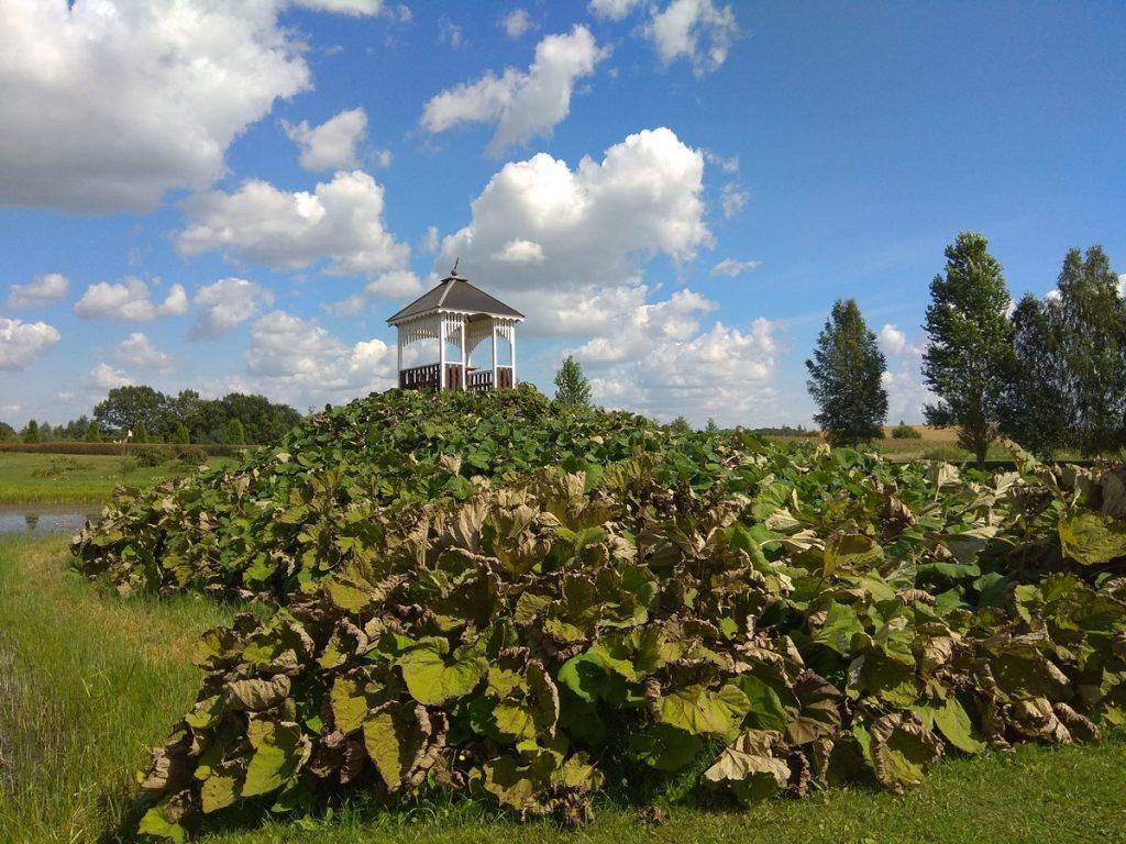 Территория при костеле в Мосаре