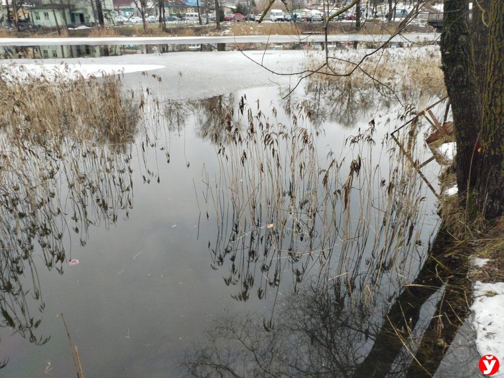 купель