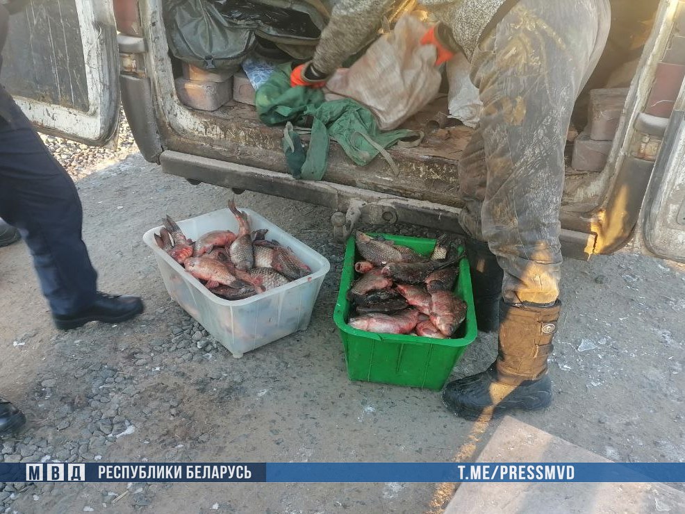 Рыбу на халяву добыть не удалось. В Несвижском районе у водоема рыбхоза задержали воров
