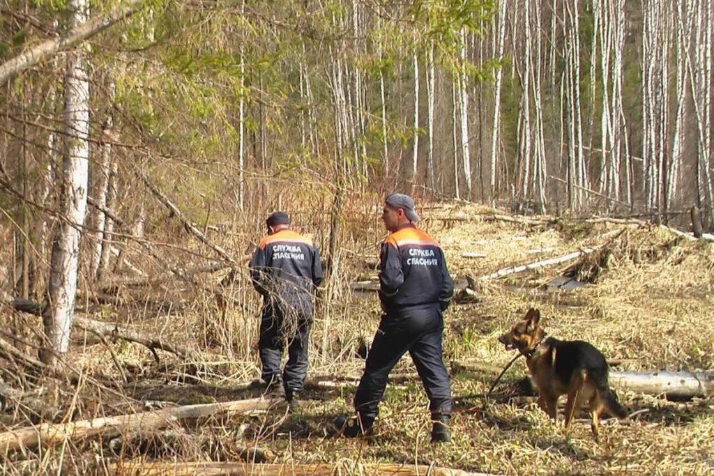 «Ушел из больницы в сторону дома». В Слуцком районе ищут пропавшего мужчину