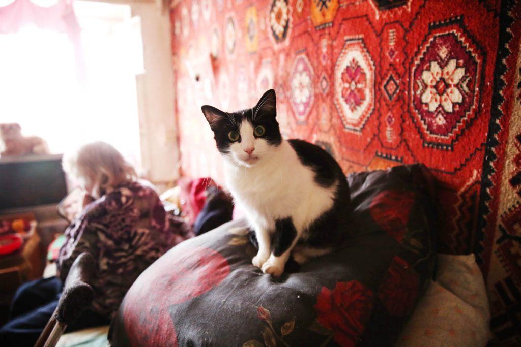 ФОТО ДНЯ: любимый домашний питомец