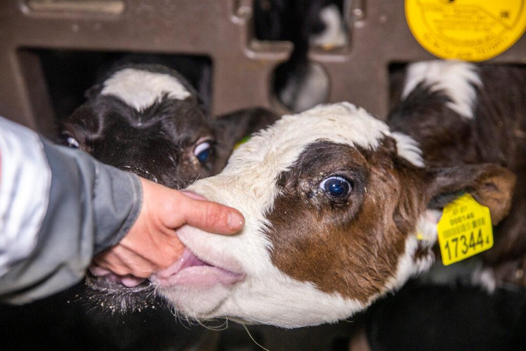 ФОТО ДНЯ: малыш