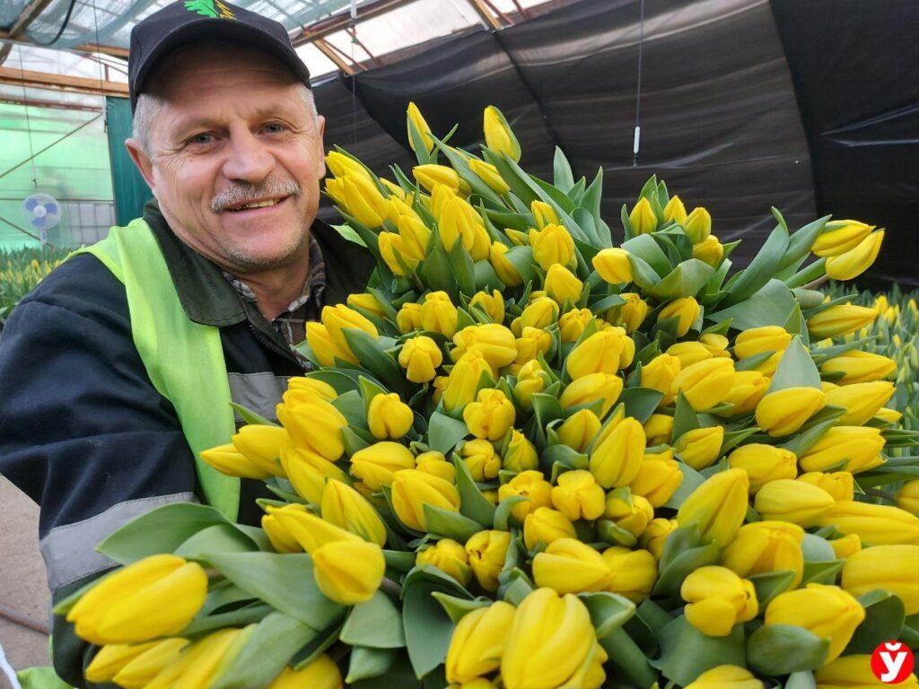 Лесовод Виктор Полоневич любит работать с тюльпанами. Каждый год дарит эти цветы жене и двум дочерям