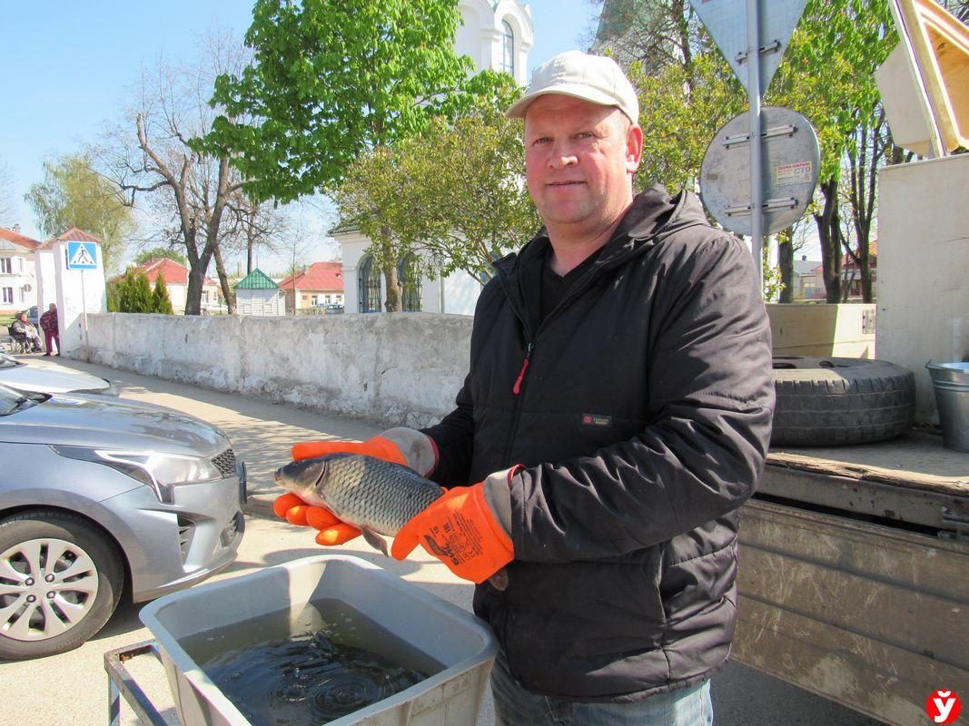 Мясо и колбасы лучше покупать у Казика. В Молодечно прошла ярмарка  выходного дня - Минская правда