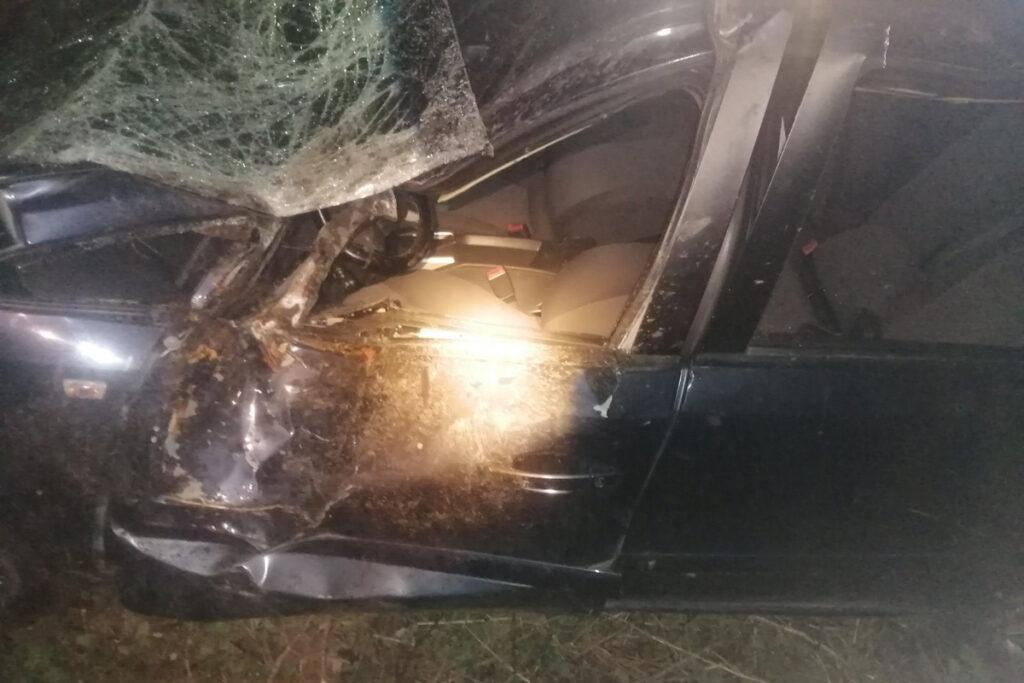 В Крупском районе иномарка врезалась в дерево: есть пострадавшие