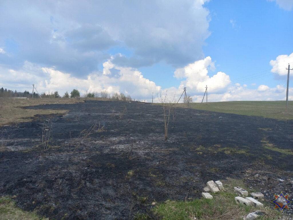 Пал сухой травы зафиксирован в Логойском районе