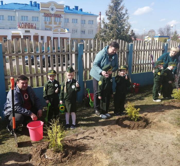 Посадка деревьев