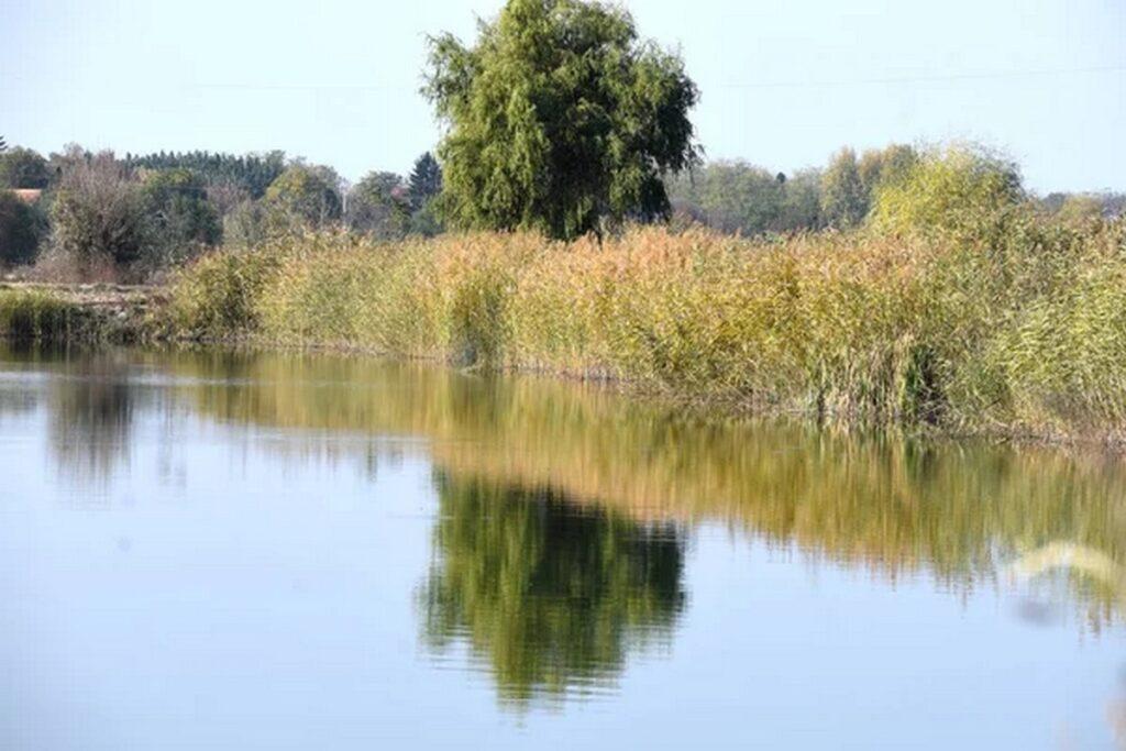 На воде в Беларуси за выходные погибли 10 человек