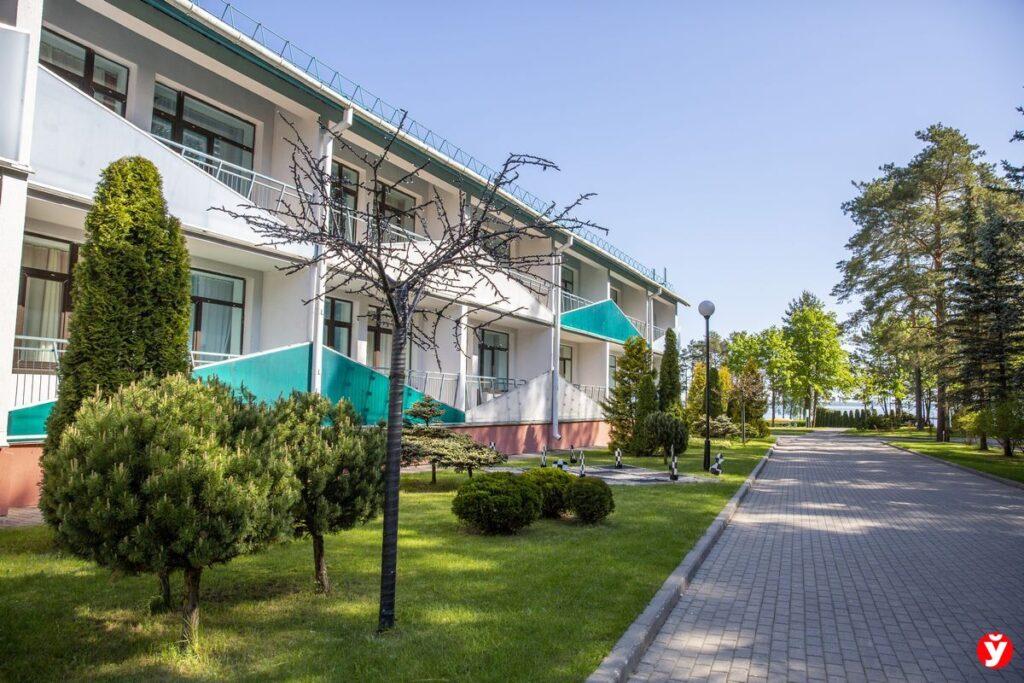 Зубренок