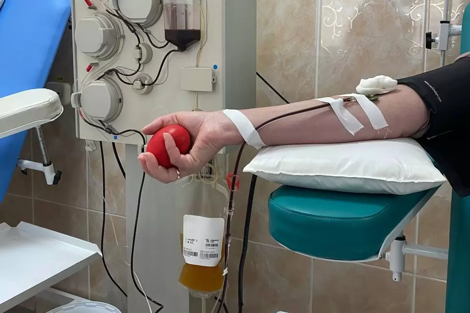 В Беларуси определили порядок заготовки крови и ее компонентов для самих себя
