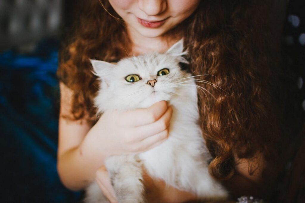 девочка и кот