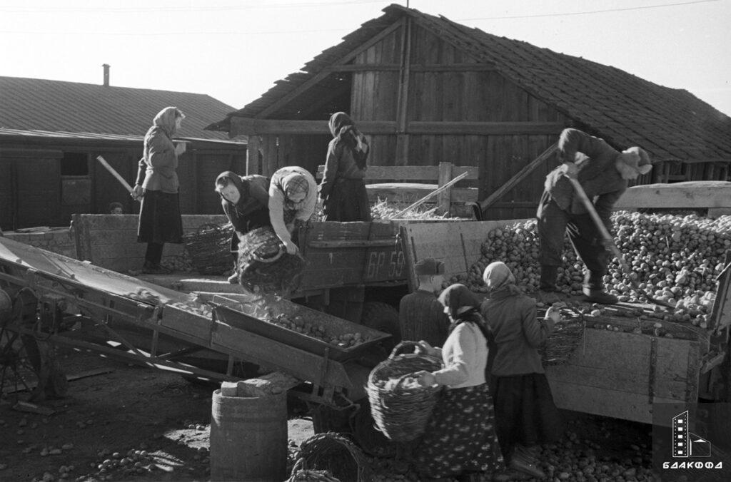 рельсы