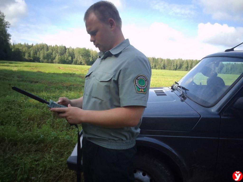 Лес