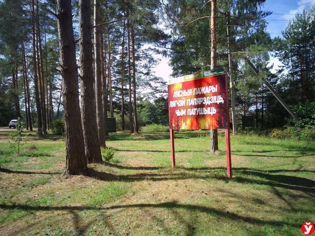 Лес