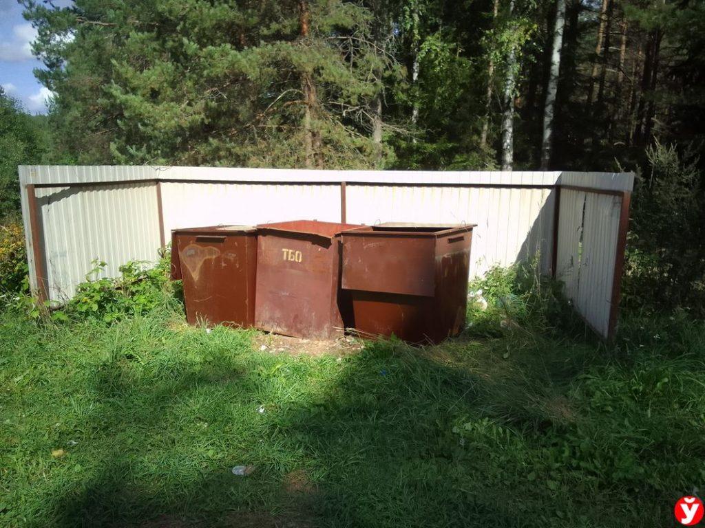 Лес