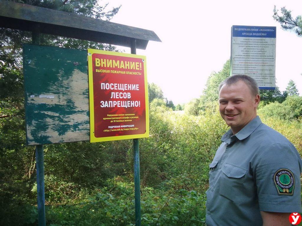 Лес