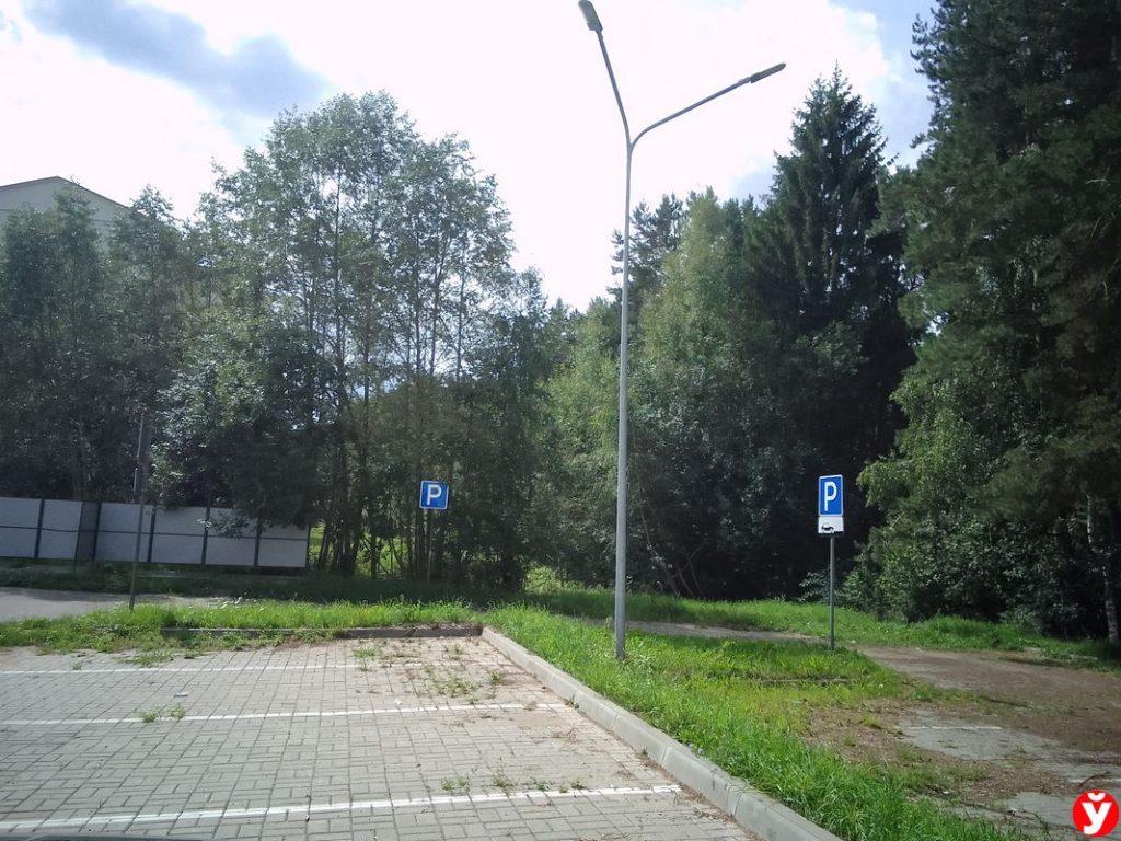 Лес