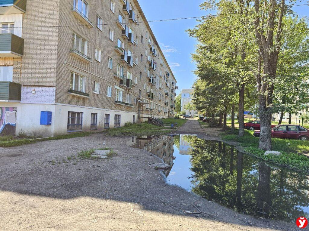 Проблема Борисов