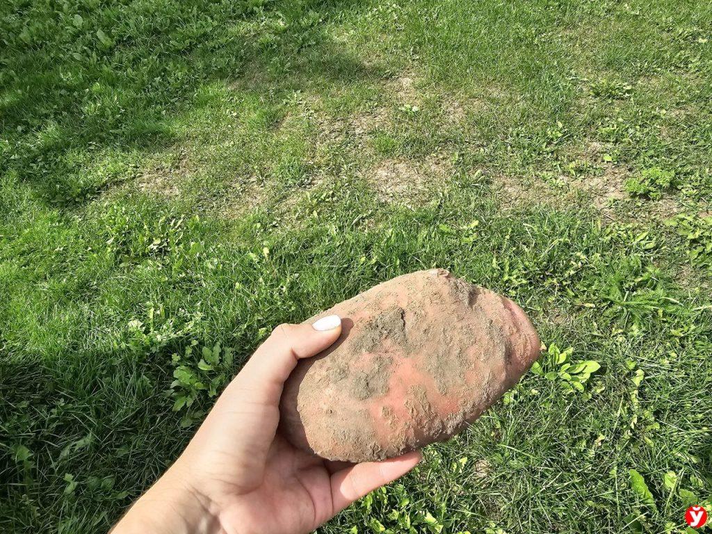 Картошка