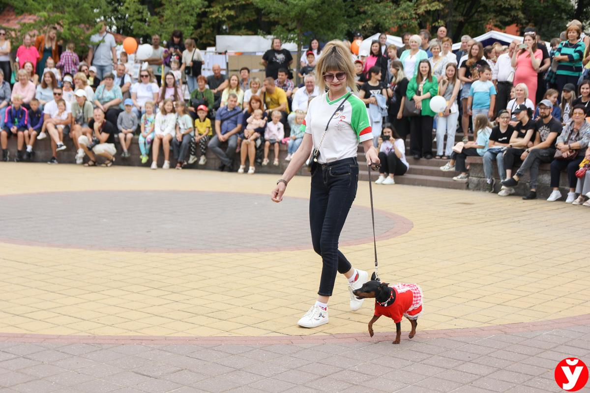 Фотофакт. Как в 2023 году Солигорск отмечает День города и День шахтера -  Минская правда