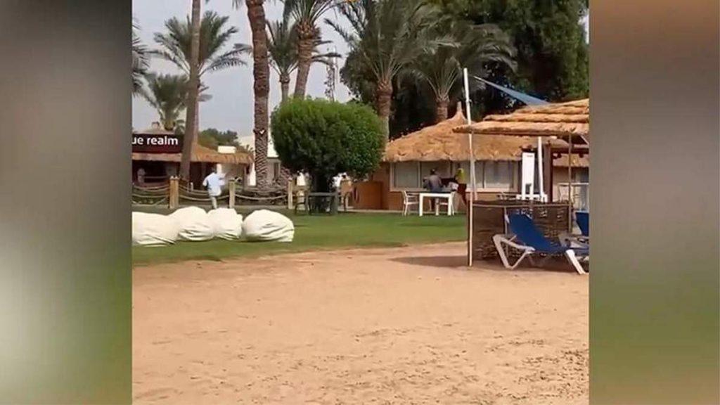 Акула снова напала на туриста на египетском курорте