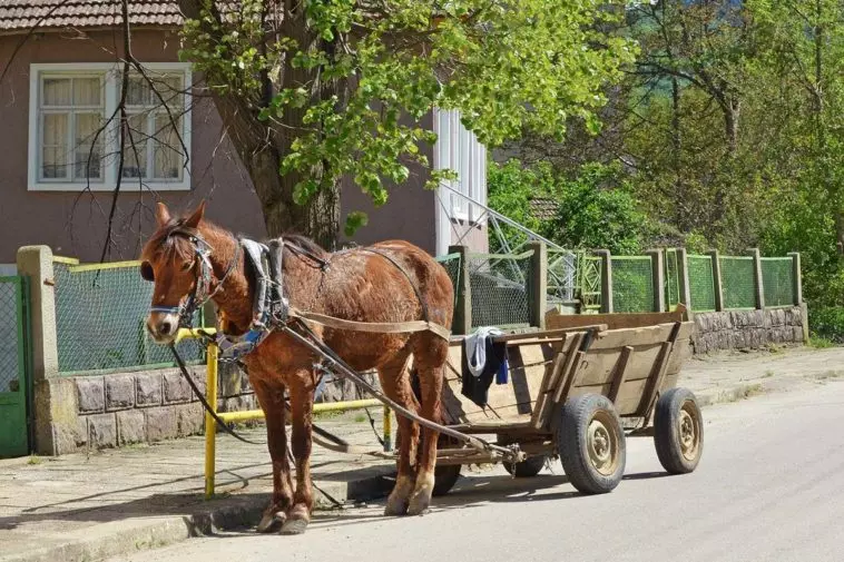 Гужевая повозки