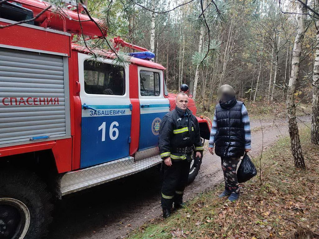 Две борисовчанки потерялись в лесу за минувшие сутки. Одну из них искали в  Смолевичском районе - Минская правда