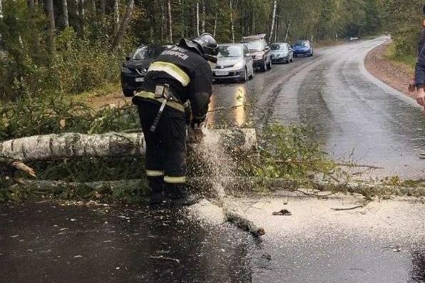 Непогода Минская область