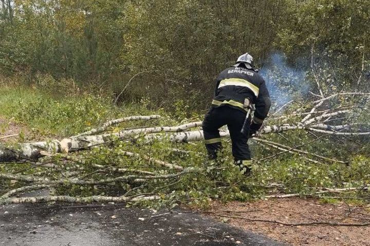 Упавшие деревья и отключение электричества. Последствия непогоды в Минской области